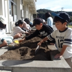 10.30チューリップ (1).JPG